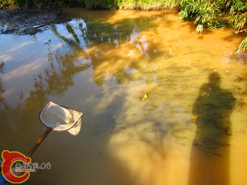 照片 012_副本.jpg