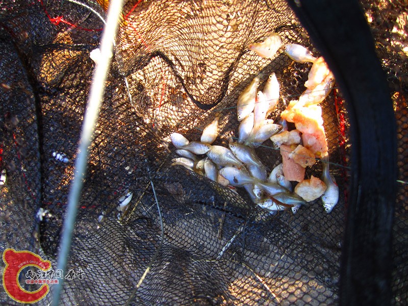 照片 013_副本.jpg