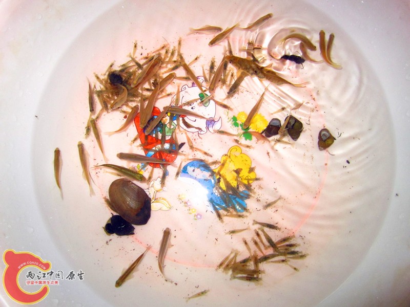 照片 015_副本.jpg