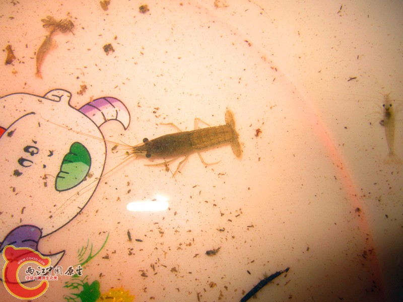 照片 016_副本.jpg