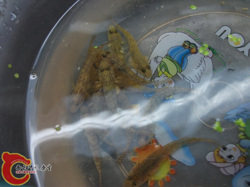 DSCF3748.JPG