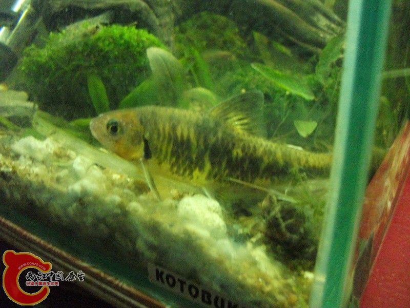 DSCF3747.JPG