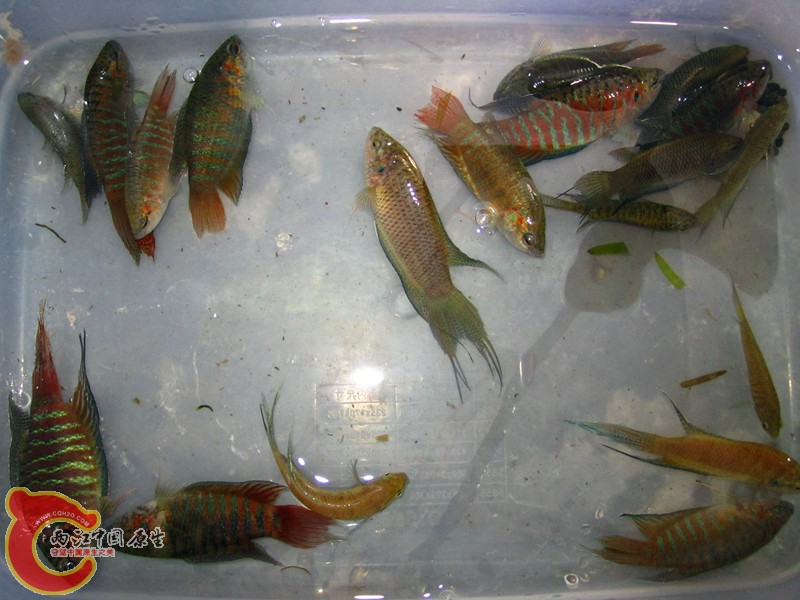 IMG_3762_副本.jpg
