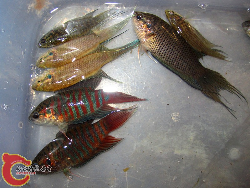 IMG_3767_副本.jpg