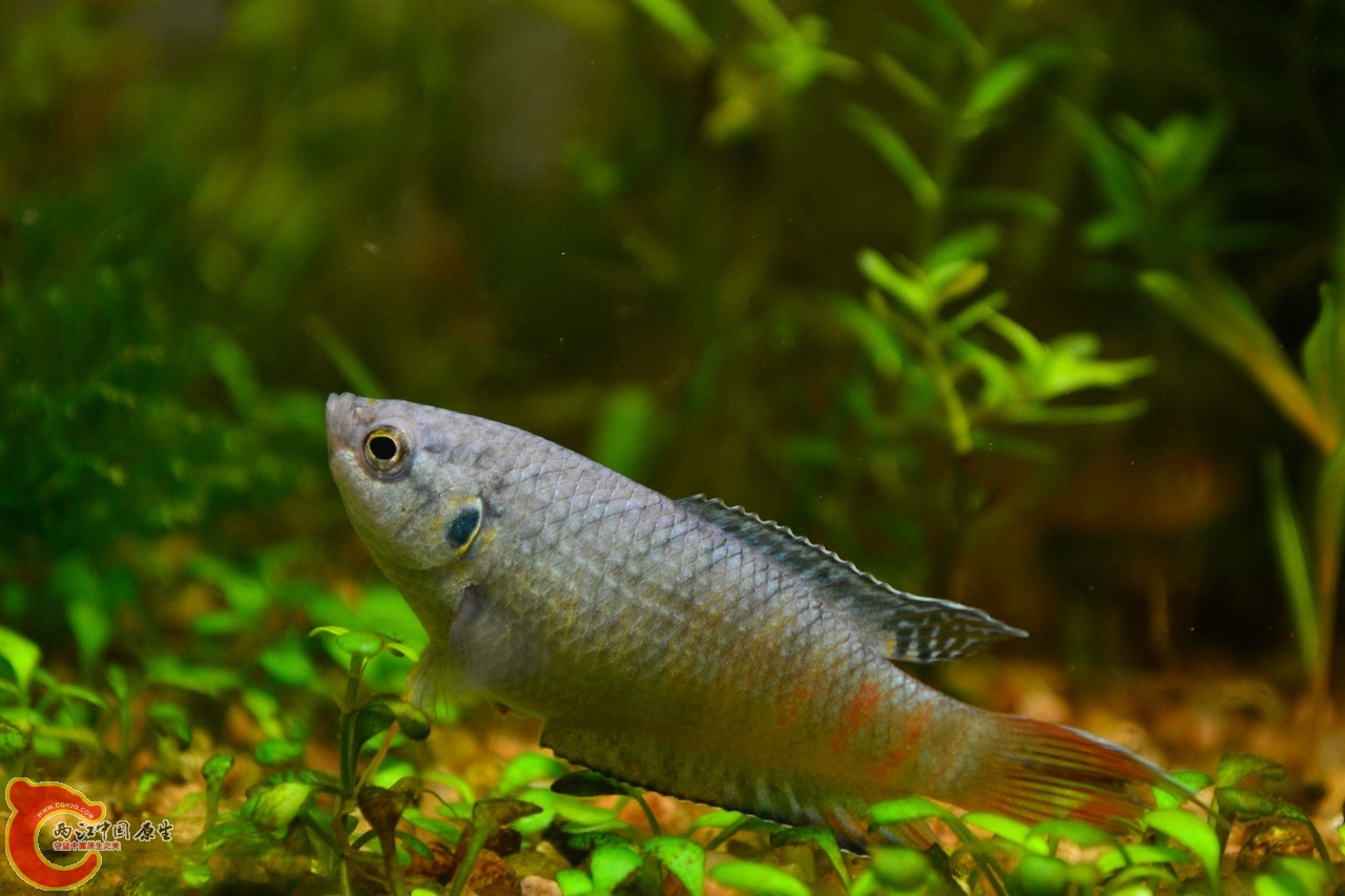 20120118-4722.jpg