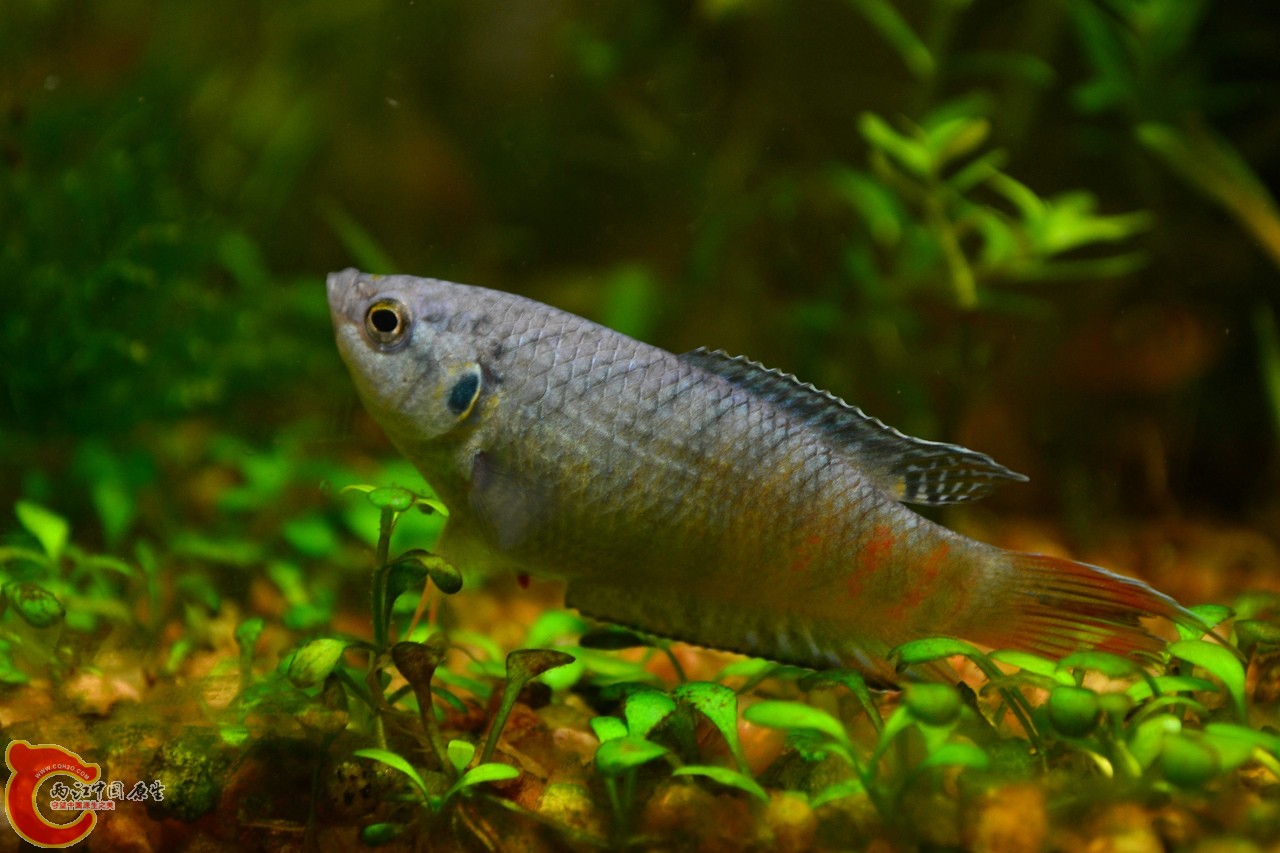 20120118-4723.jpg