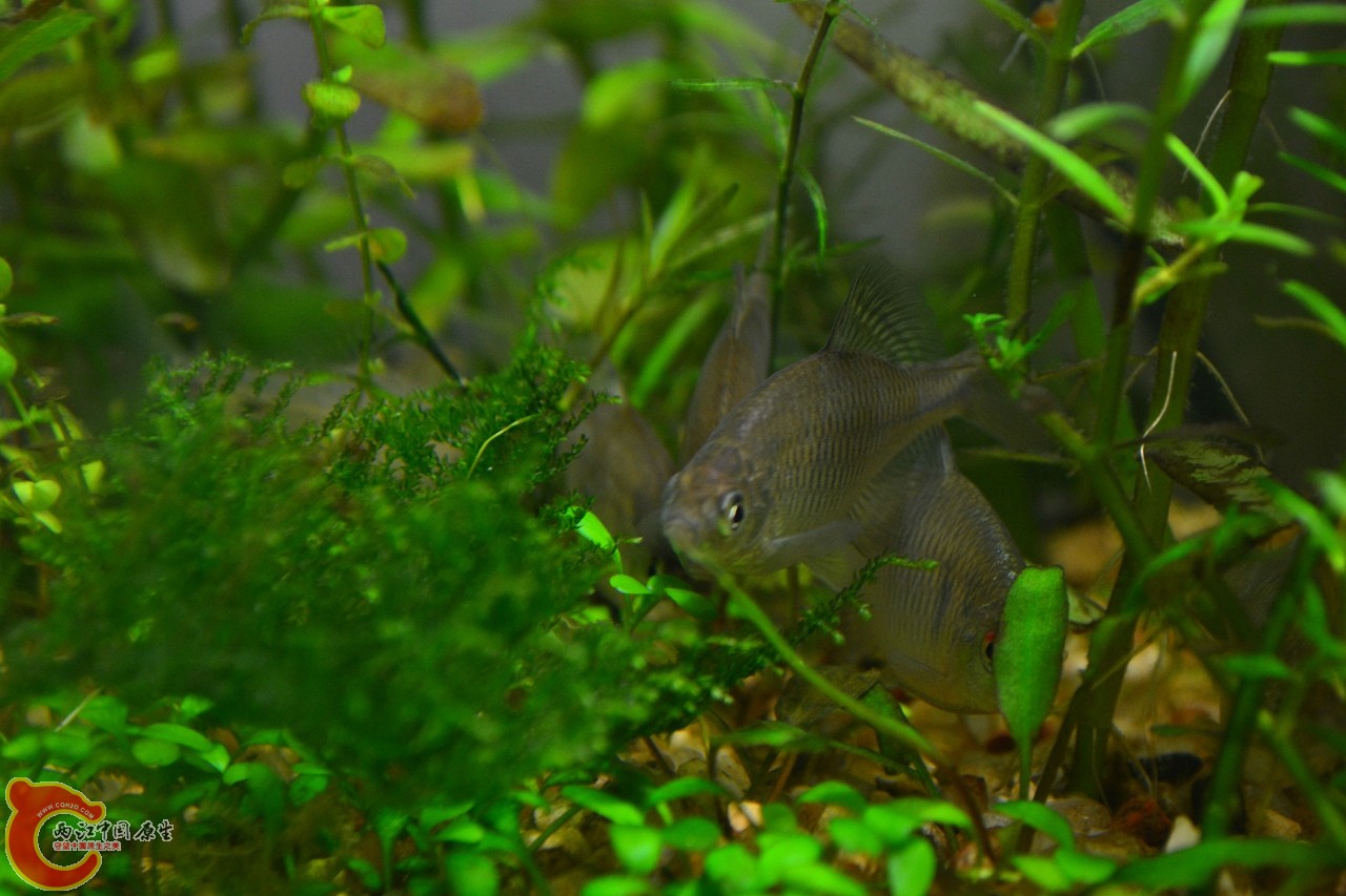 20120118-4728.jpg