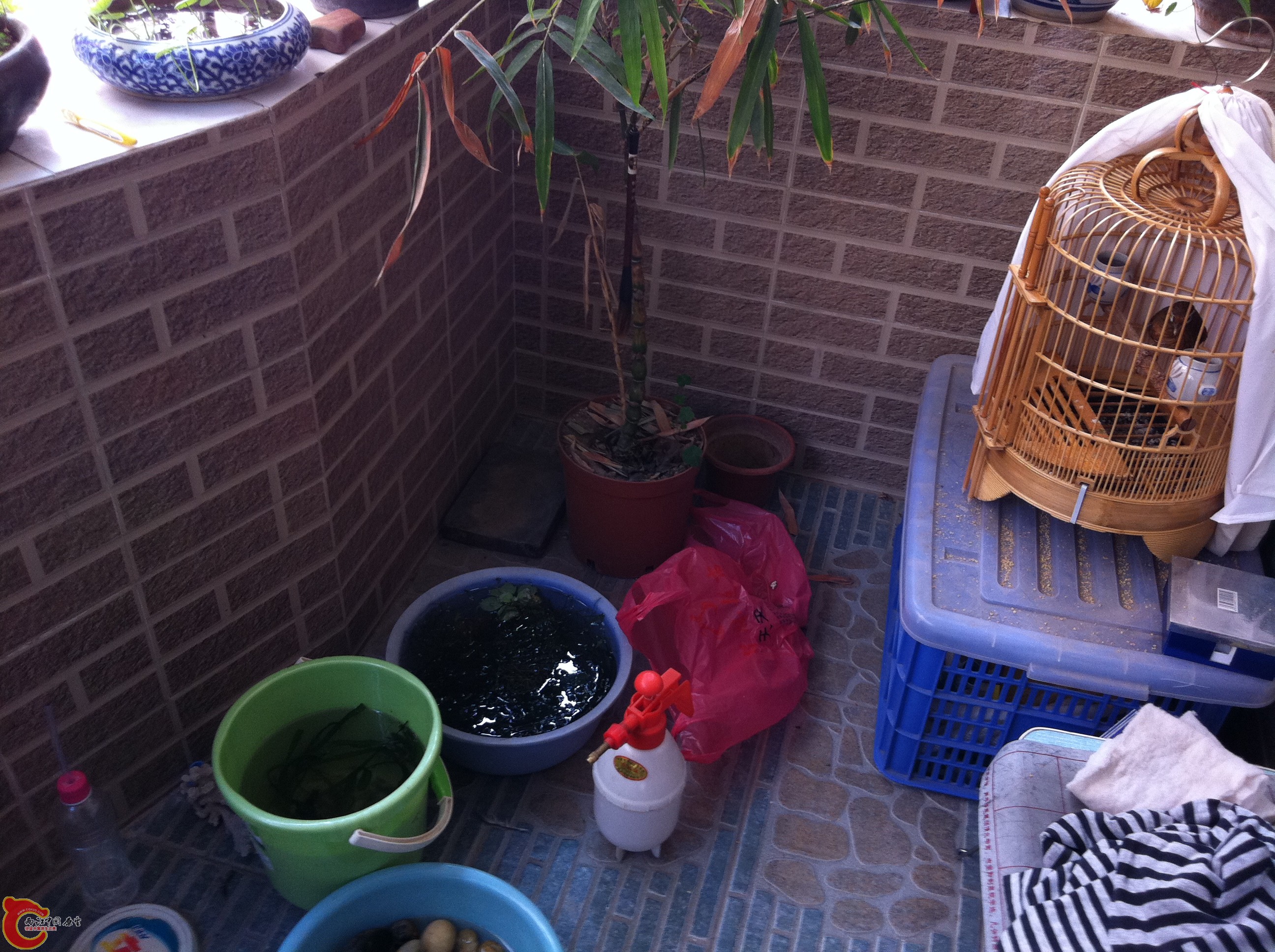2011.12 129.jpg