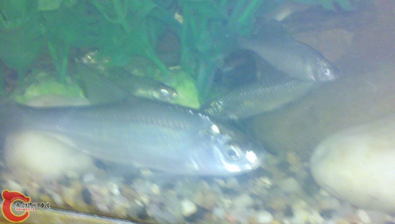 2012-01-20_18-20-15_812.jpg