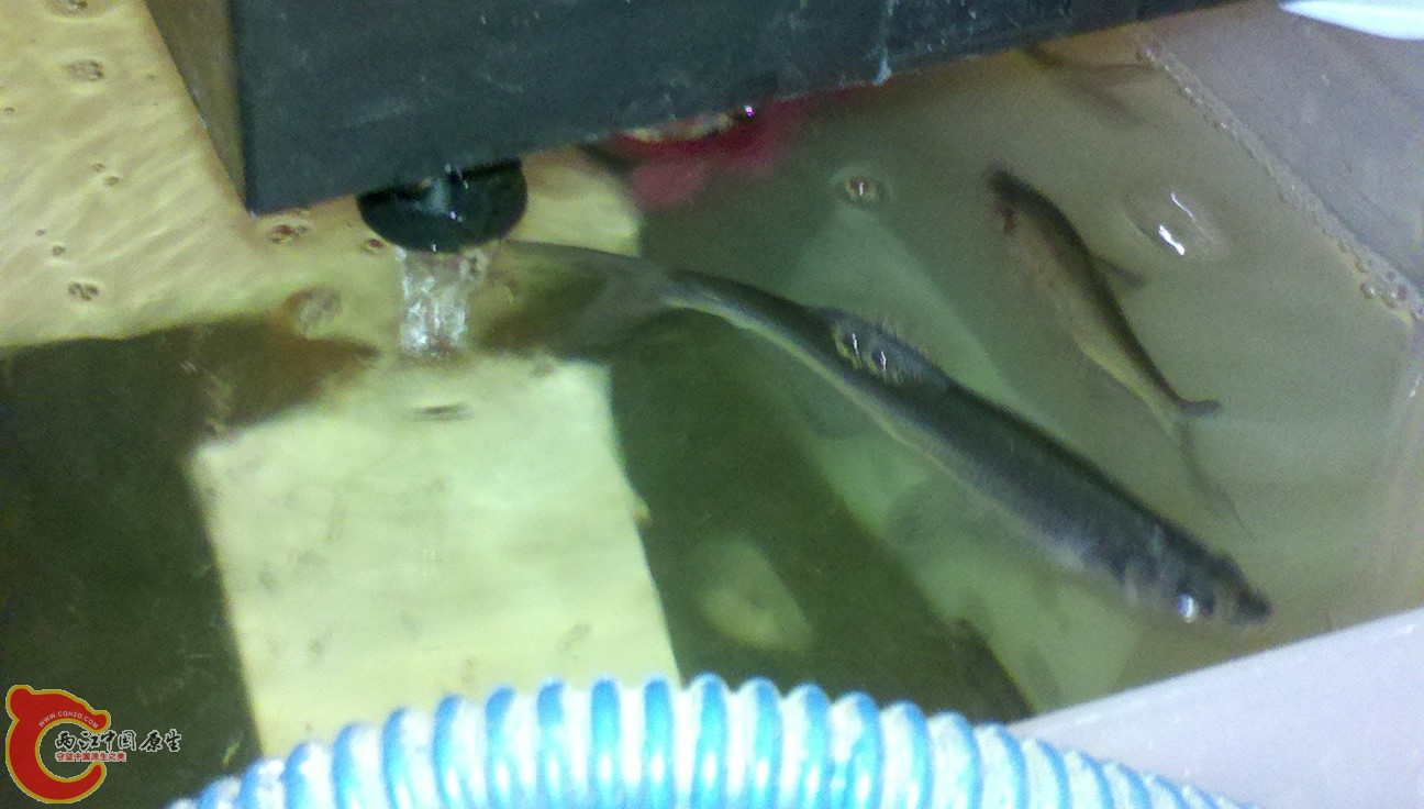 2012-01-20_18-20-00_726.jpg