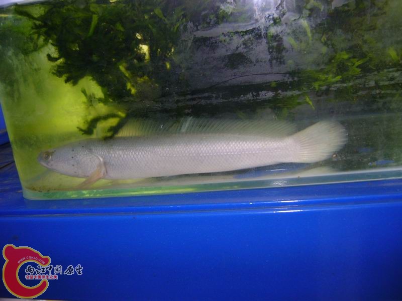 DSC06947.JPG
