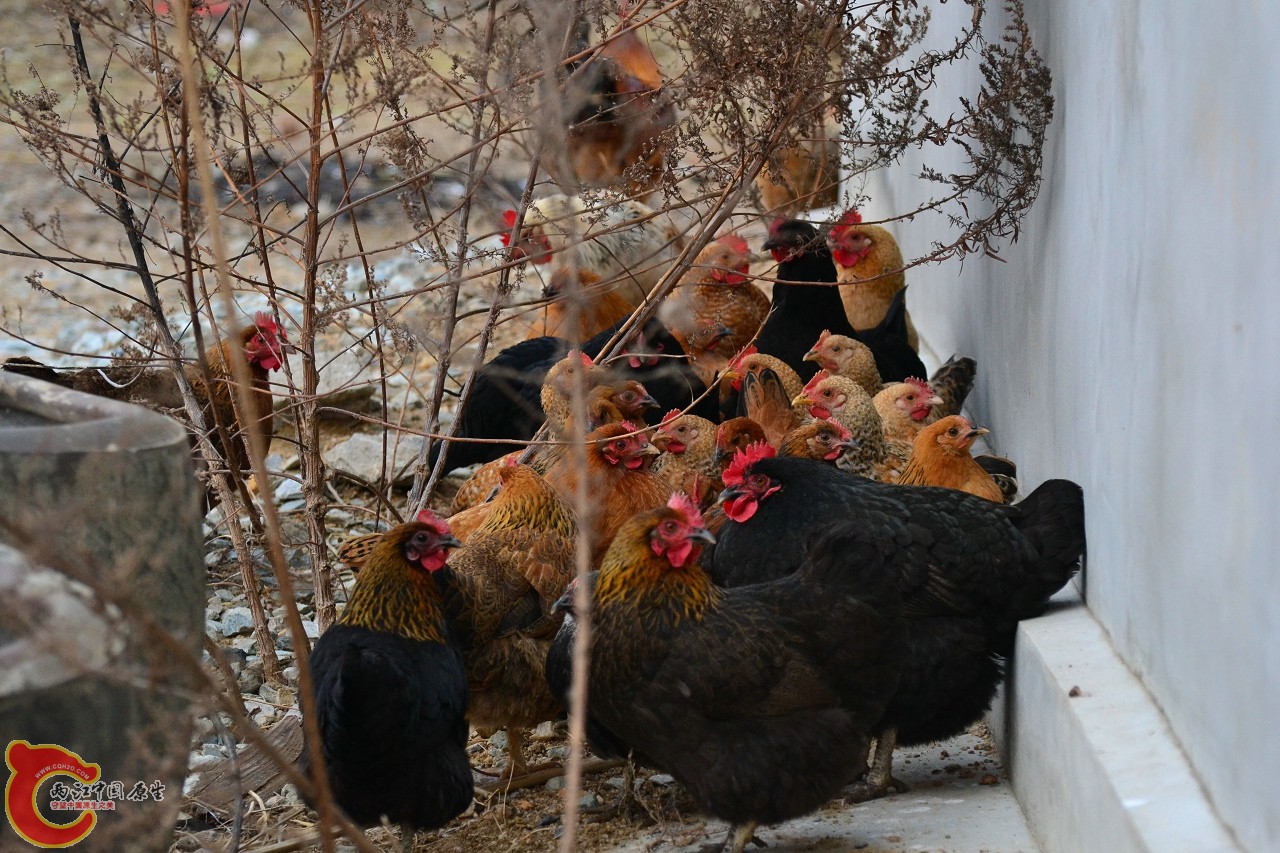 20120122-4865.jpg
