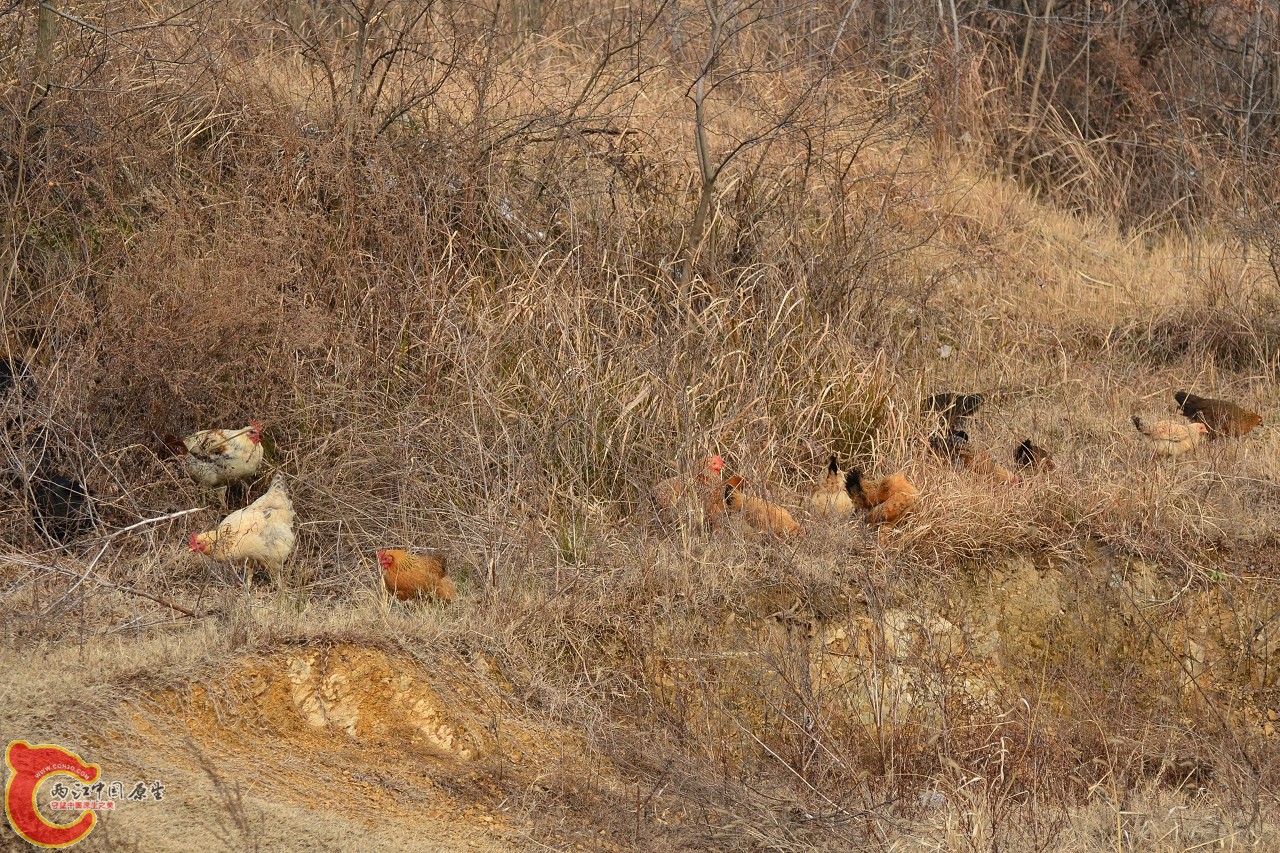 20120123-4887.jpg