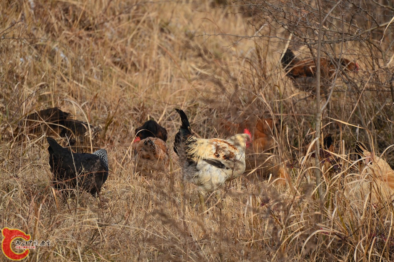 20120123-4888.jpg