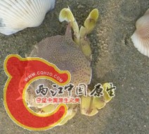 QQ截图20120125232712.jpg
