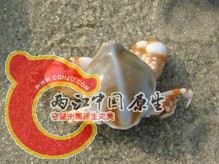 QQ截图20120125232655.jpg