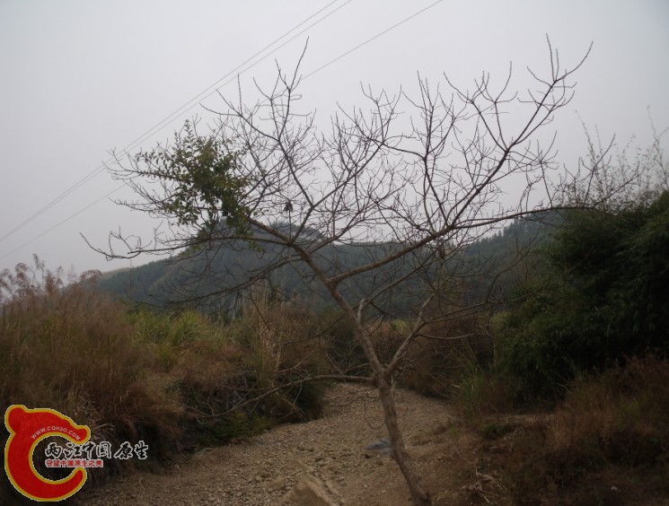 2维权1.jpg