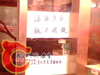 IMG0097A.jpg