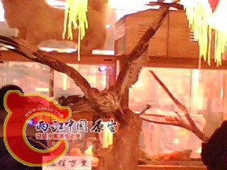 IMG0096A.jpg