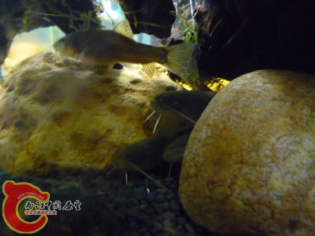 P1040404.JPG
