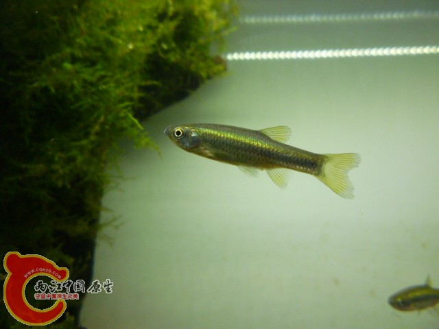 P1040416.JPG