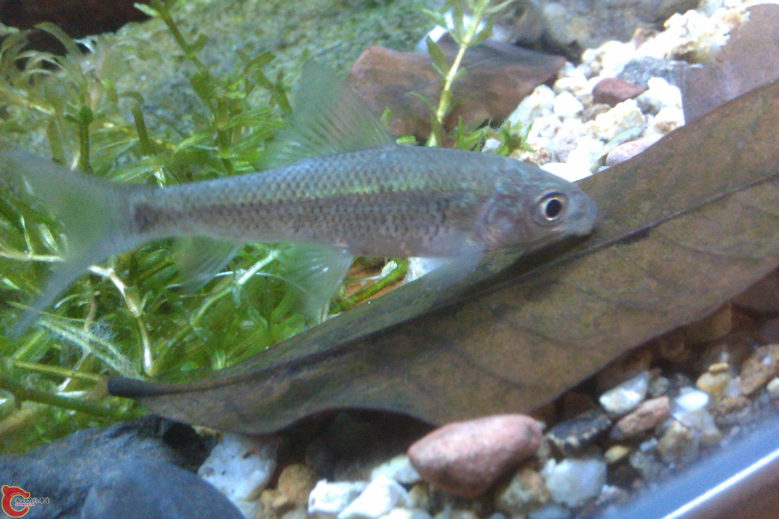IMAG0333.jpg