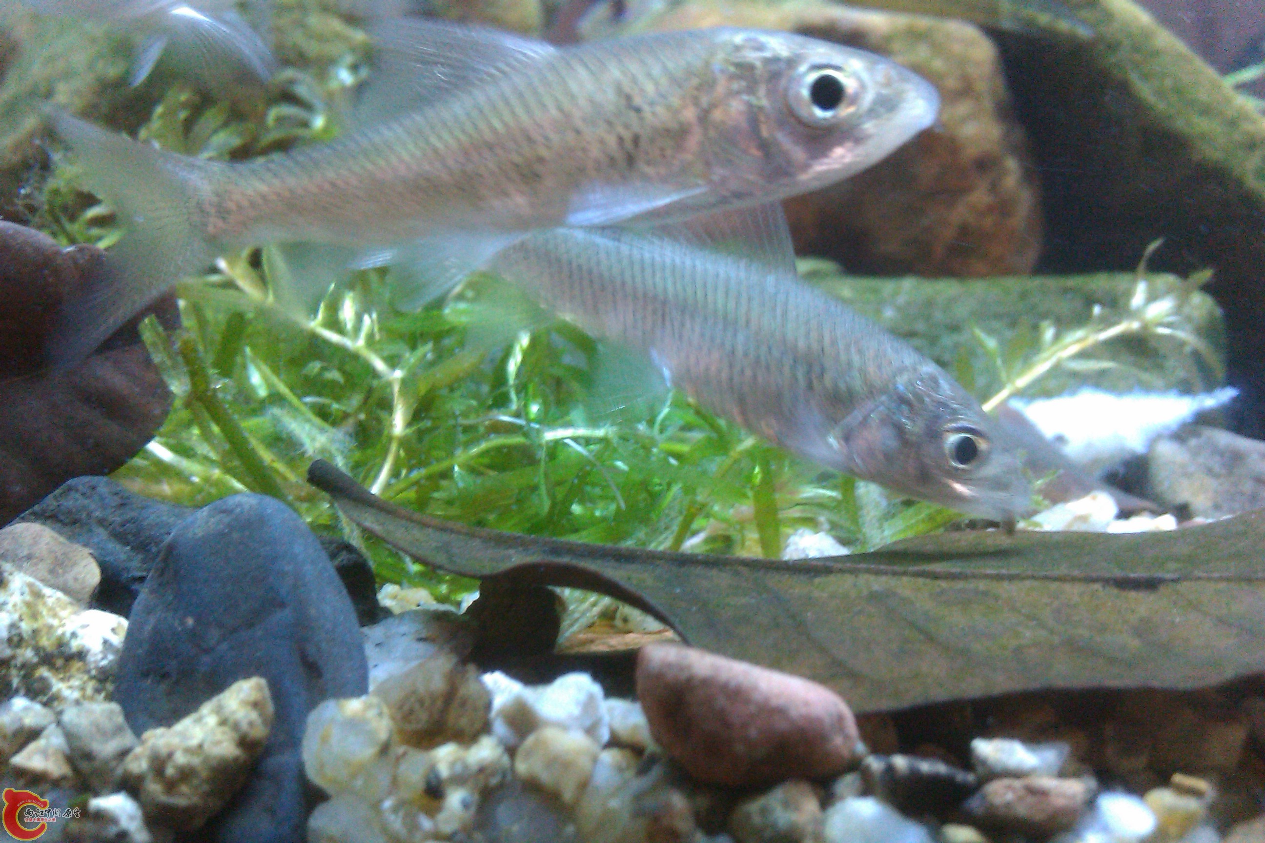 IMAG0334.jpg