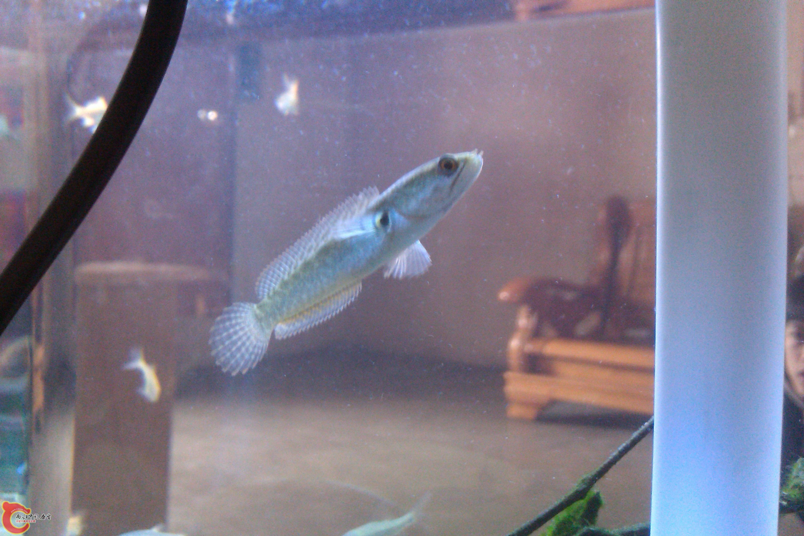 IMAG0336.jpg