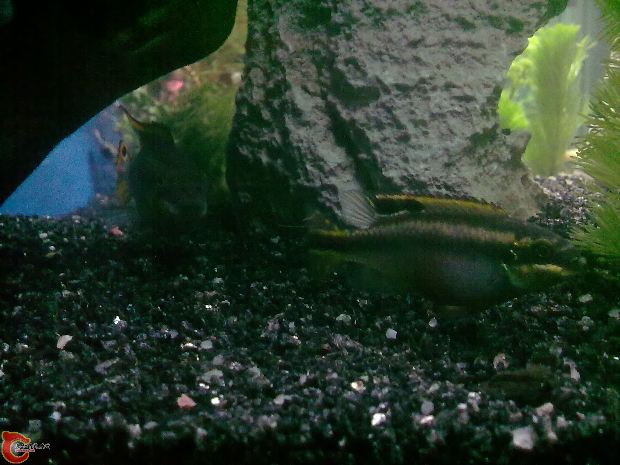 20120120304.jpg