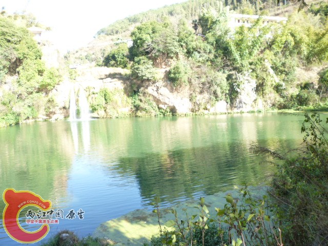 P1040421.JPG