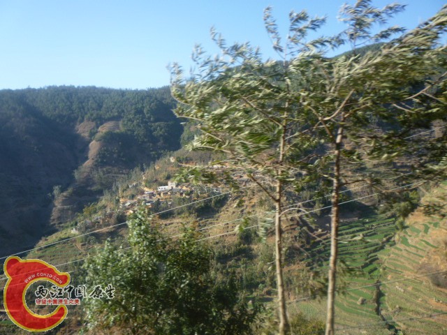 P1040423.JPG