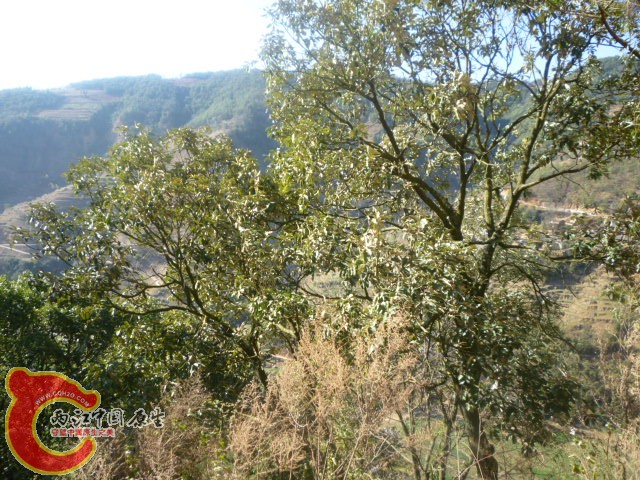 P1040424.JPG