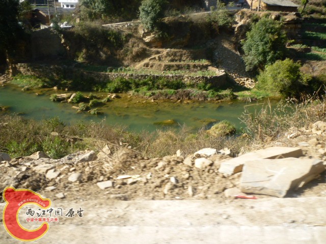 P1040427.JPG