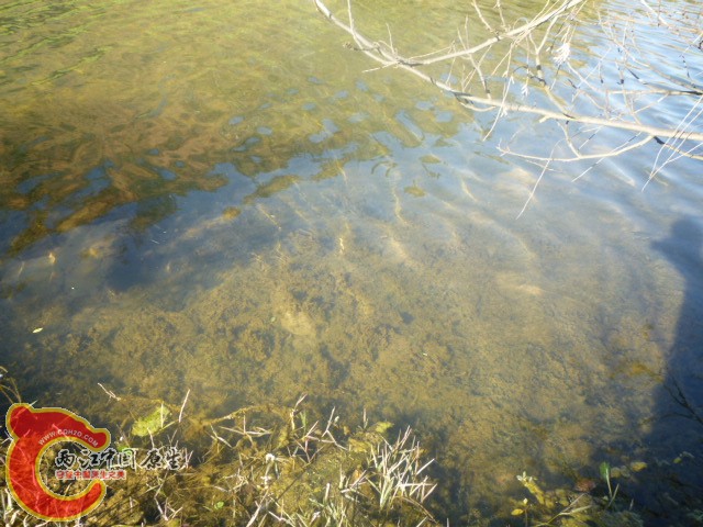 P1040430.JPG