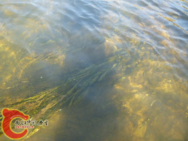 P1040436.JPG