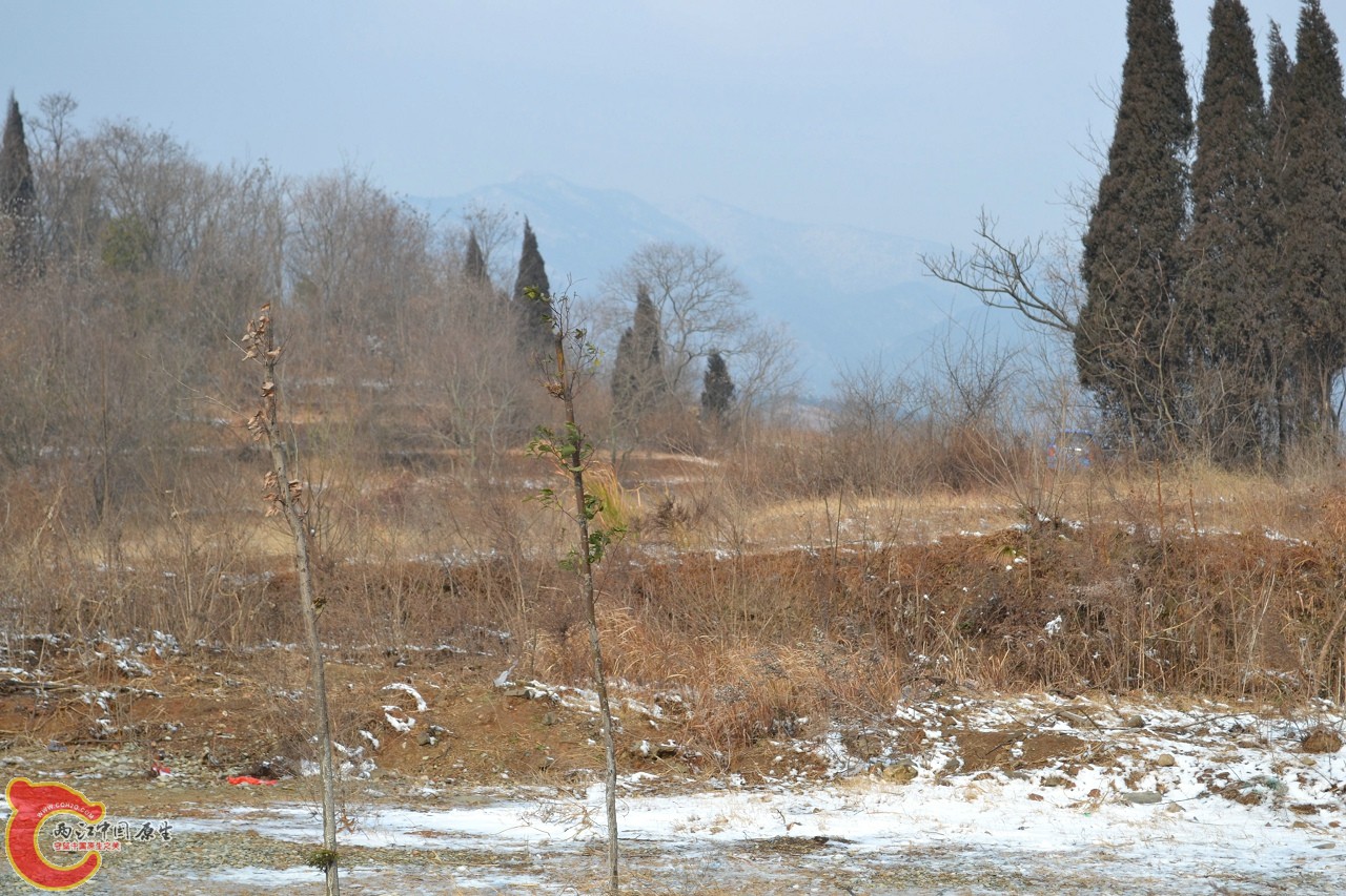 20120122-4774 - 副本.jpg