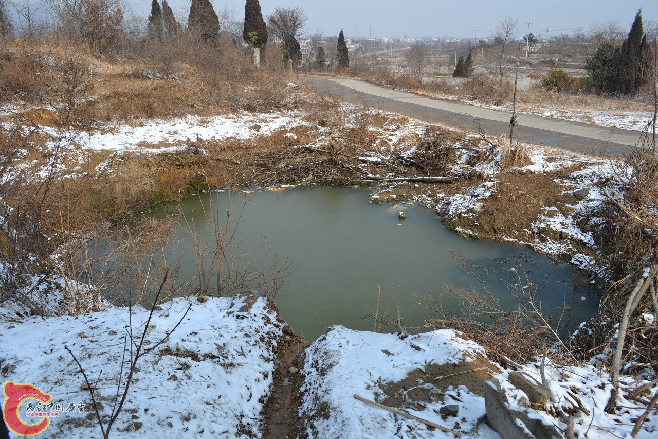 20120122-4776 - 副本.jpg