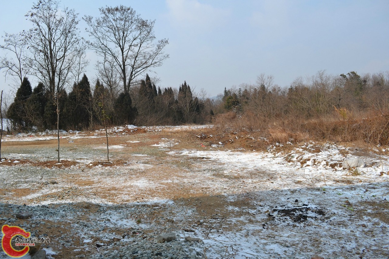 20120122-4795 - 副本.jpg