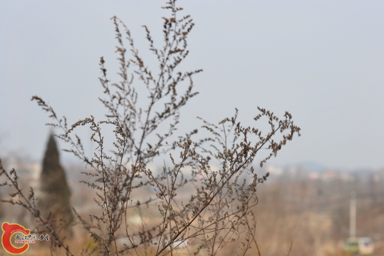 20120122-4800 - 副本.jpg