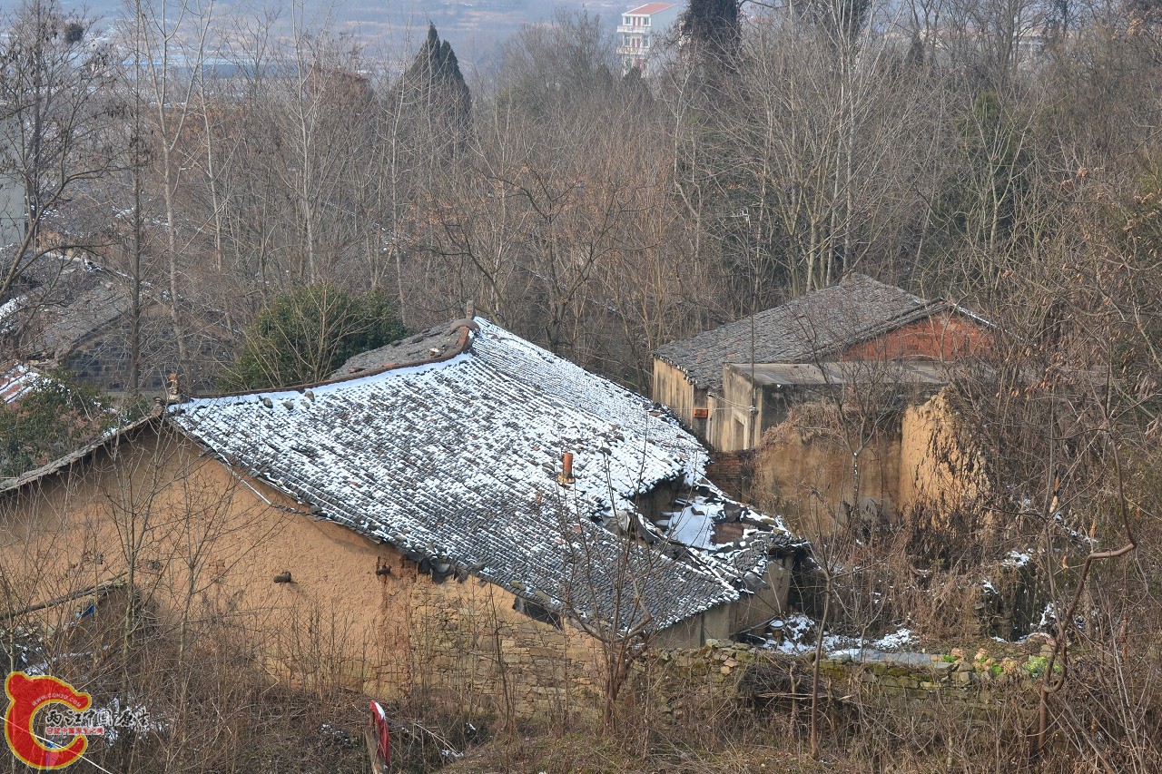 20120123-4881.jpg
