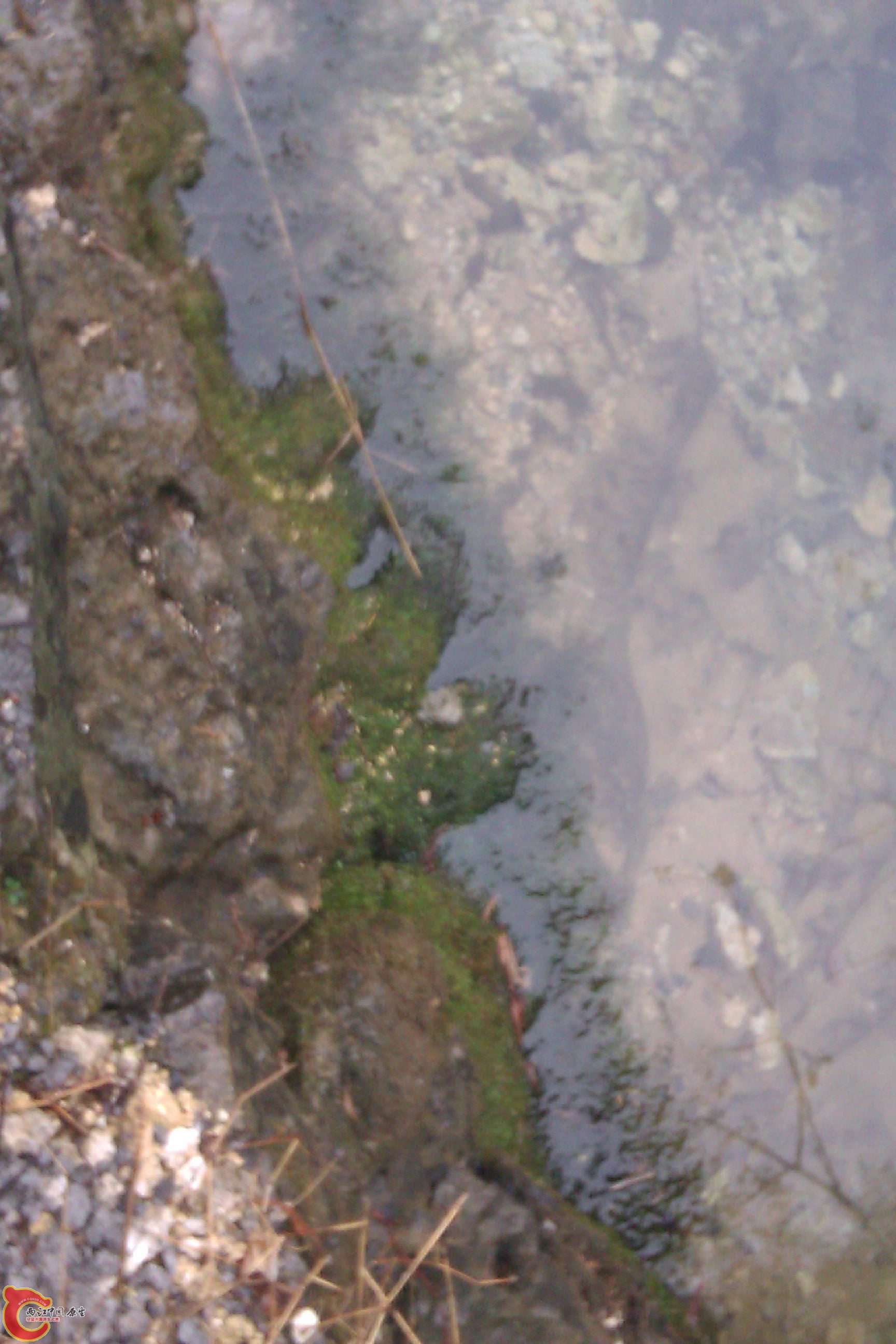 IMAG0130.jpg