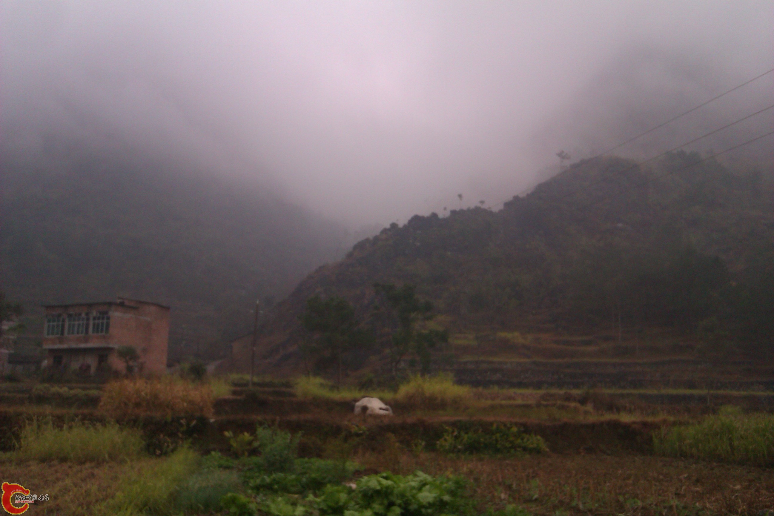 IMAG0090.jpg