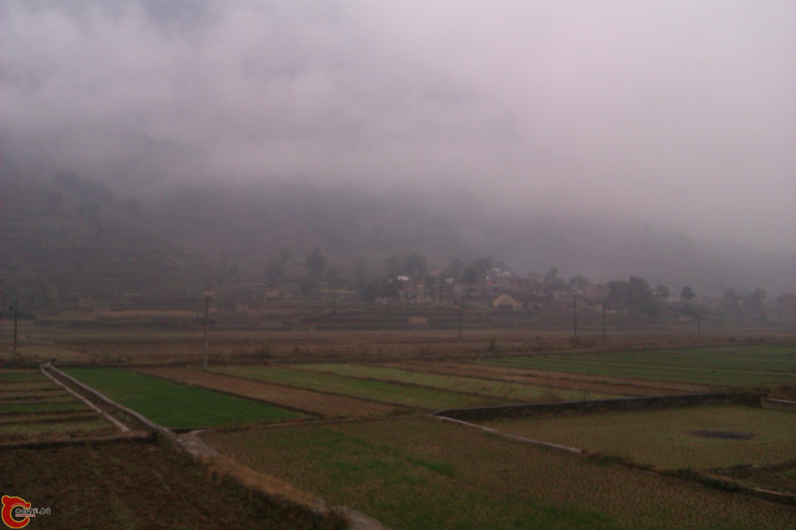 IMAG0091.jpg
