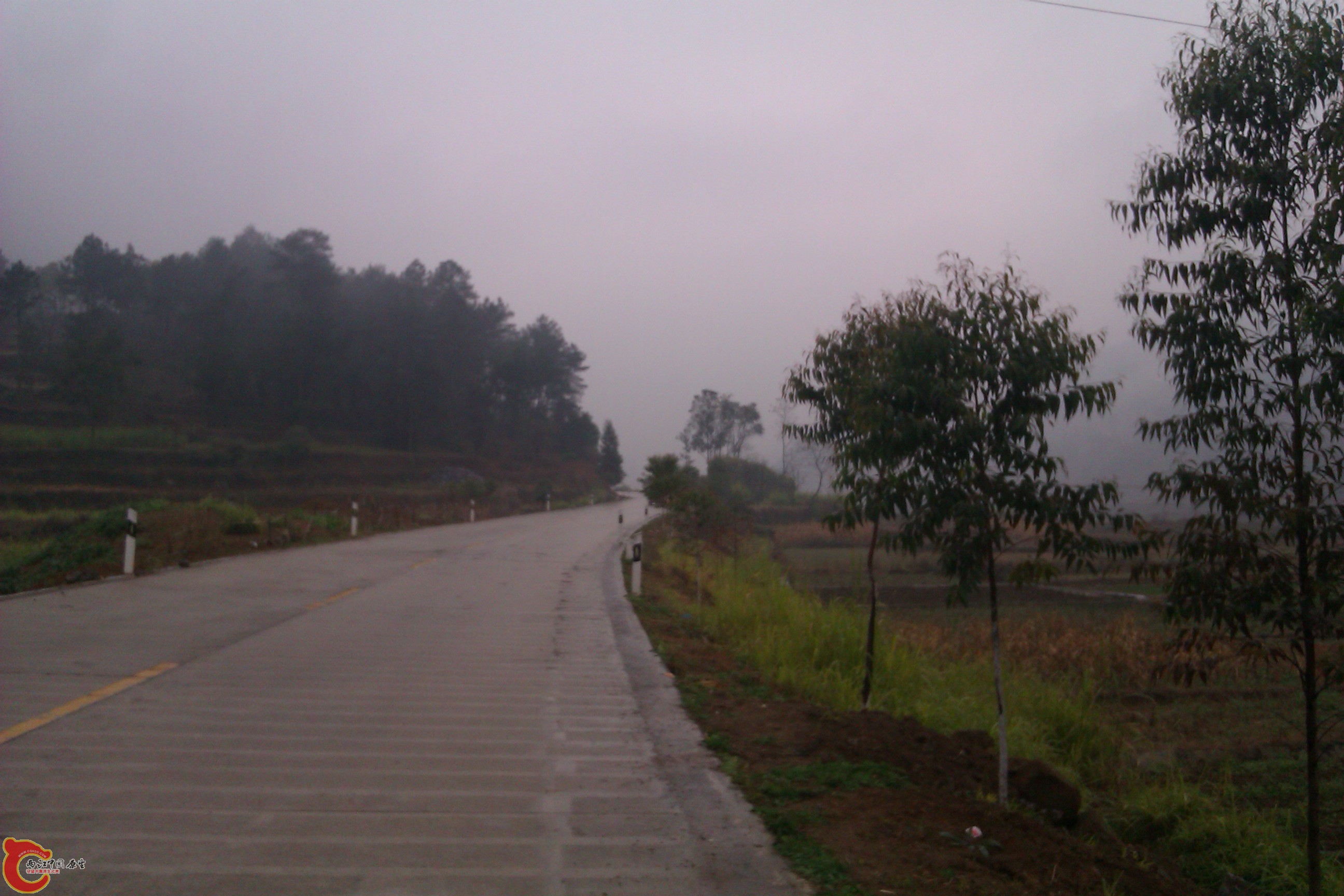 IMAG0092.jpg