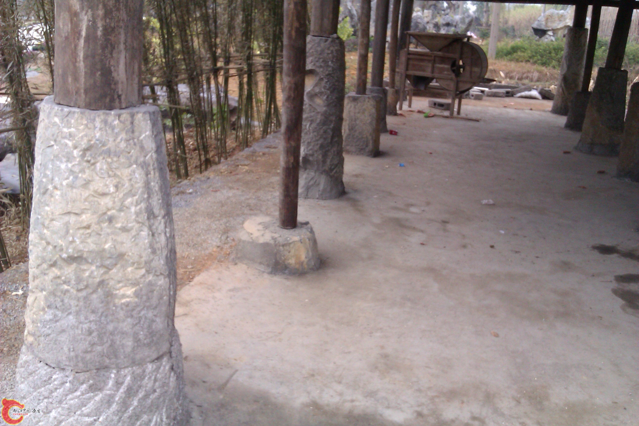 IMAG0097.jpg