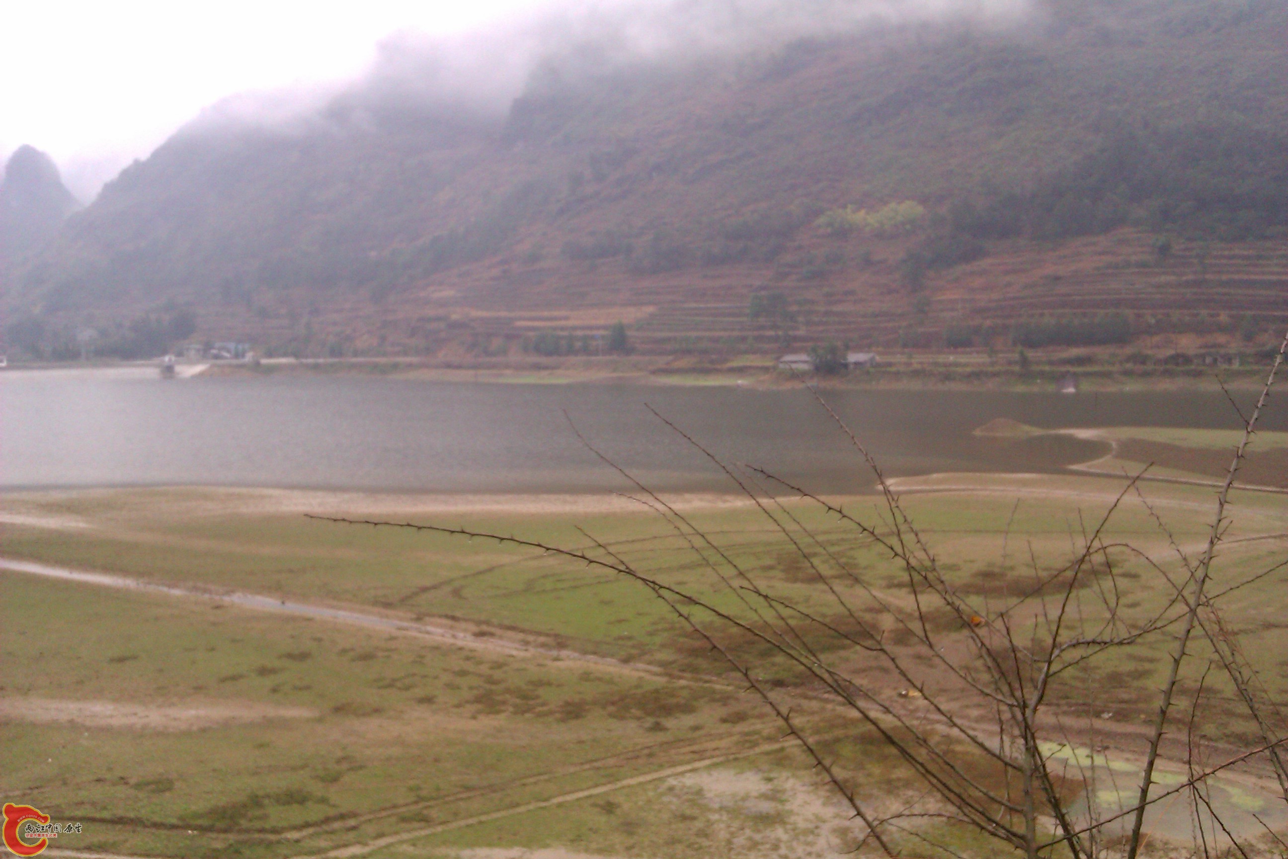 IMAG0104.jpg
