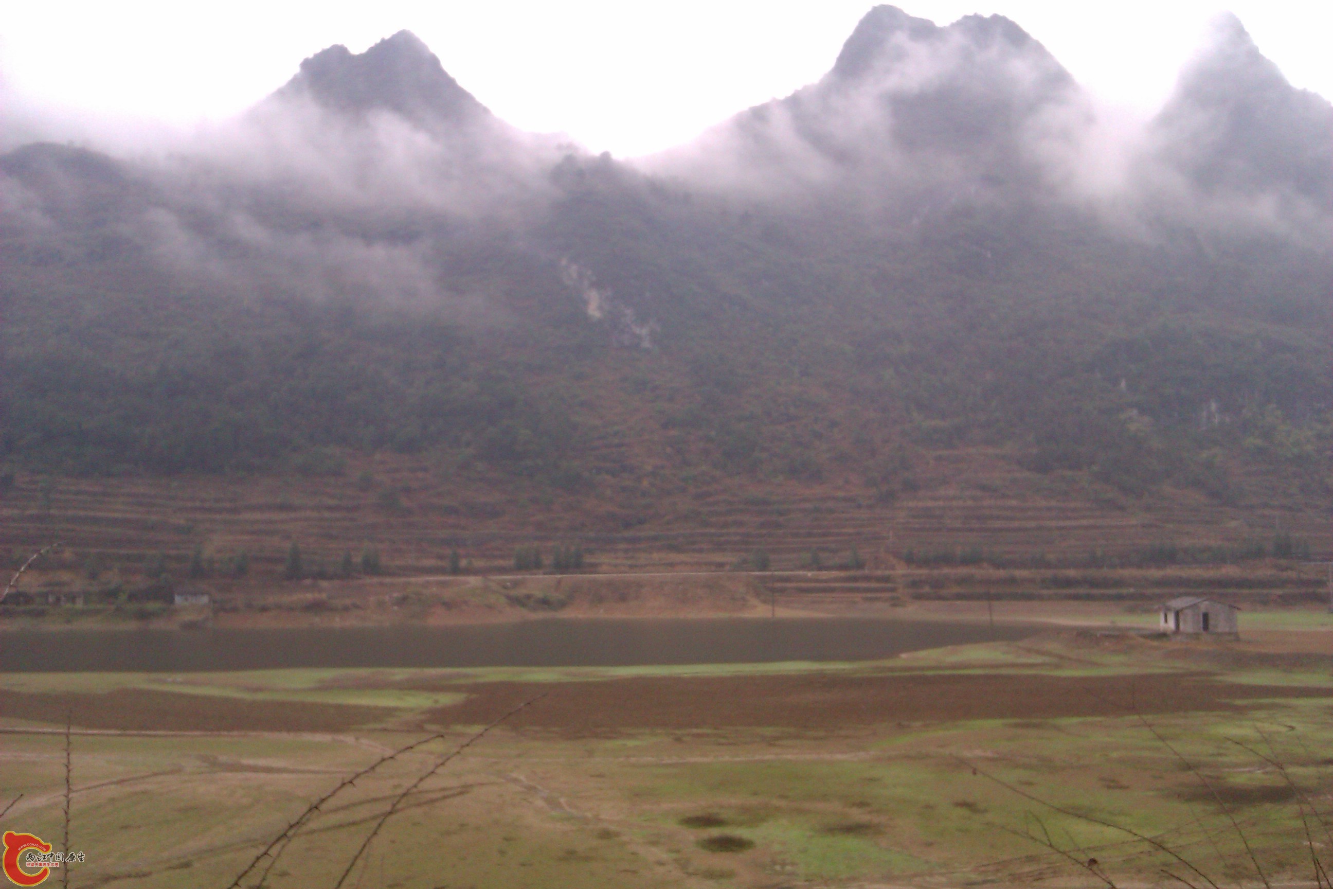 IMAG0105.jpg