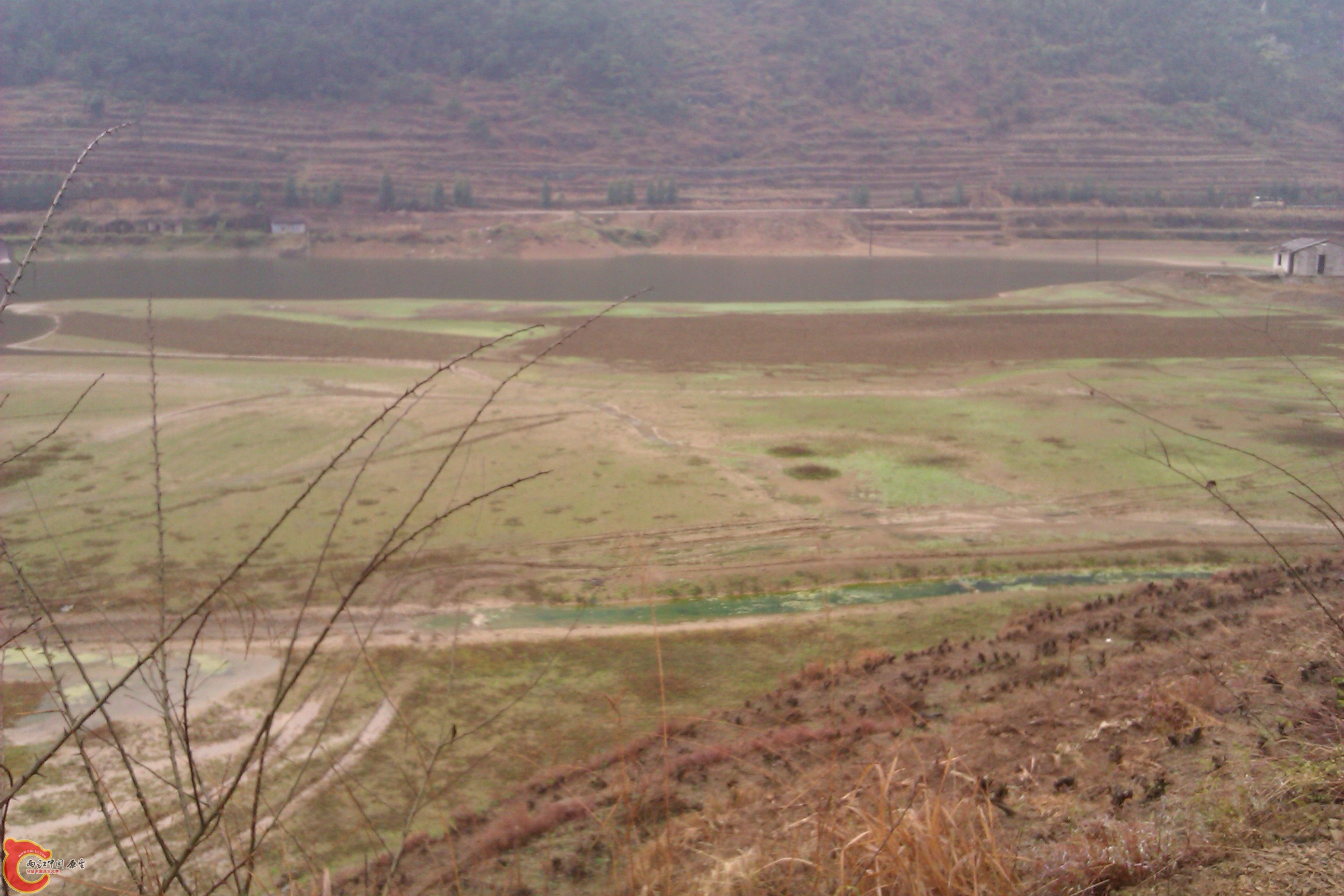 IMAG0106.jpg