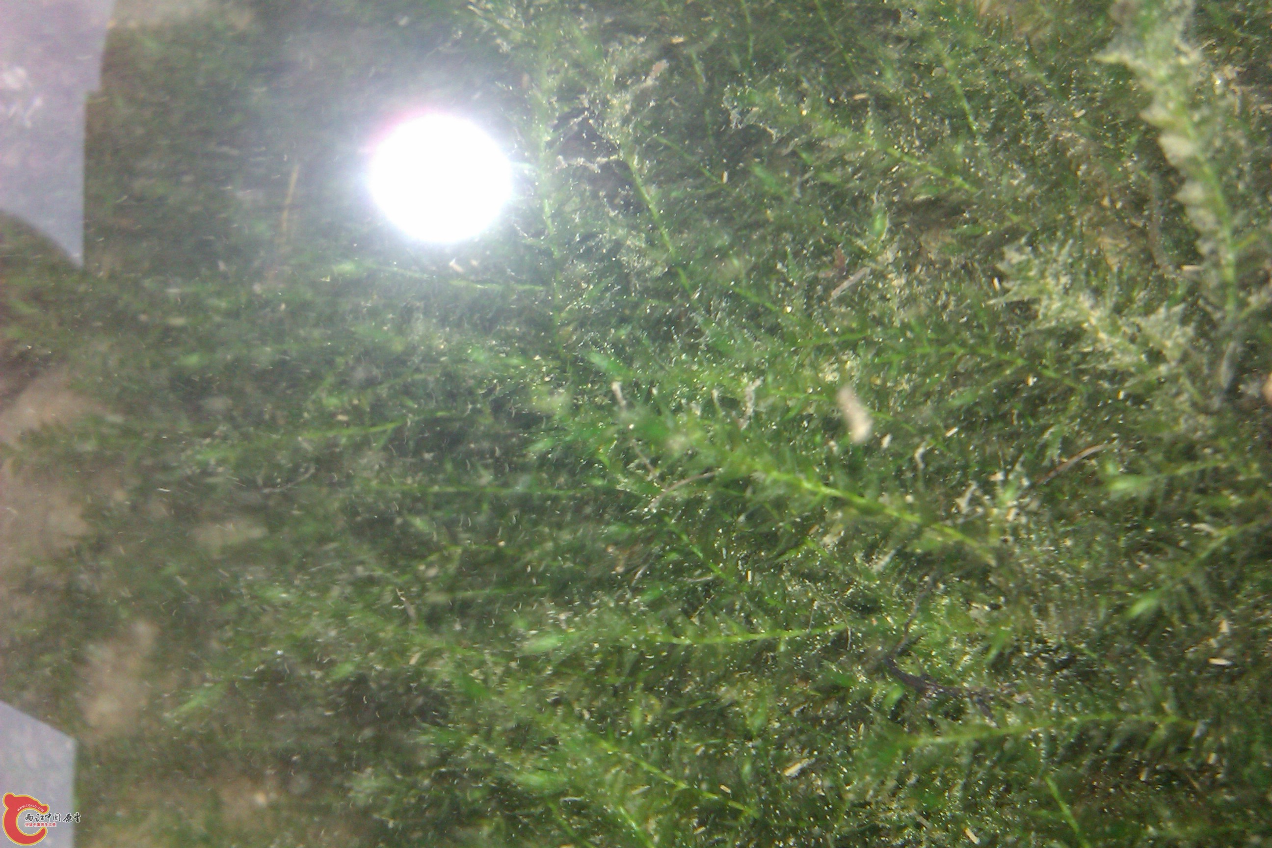 IMAG0109.jpg