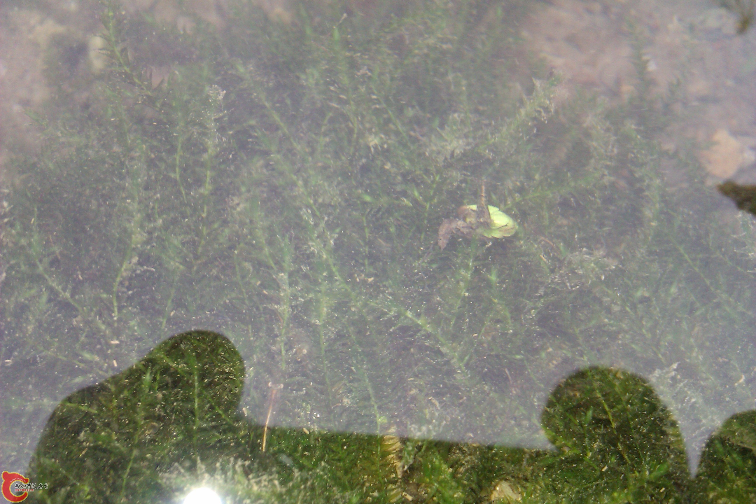 IMAG0110.jpg